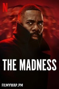 The Madness (2024) Hindi Web Series